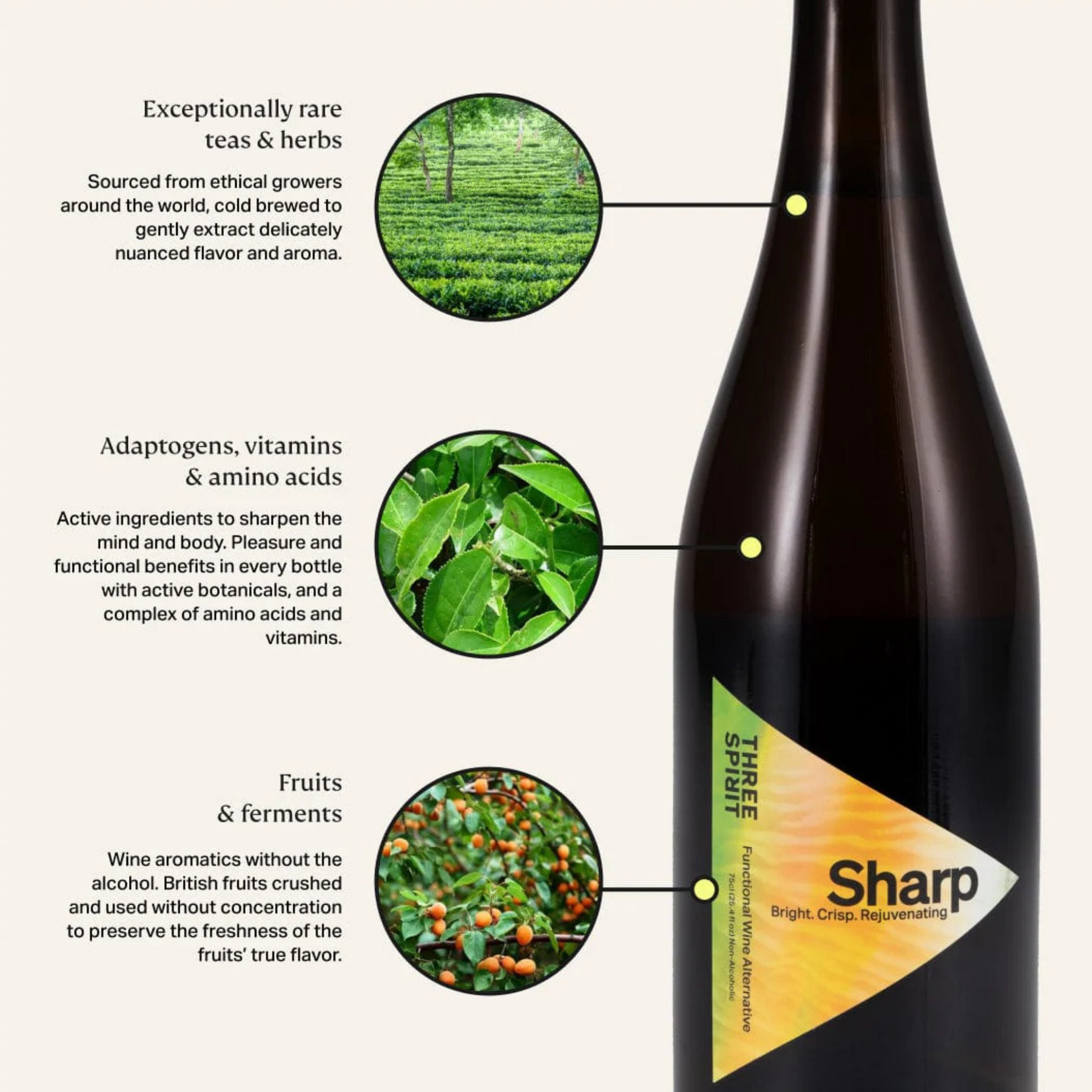 Three Spirit - Blurred Vines - Sharp - Nonalcoholic Functional Wine Alternative