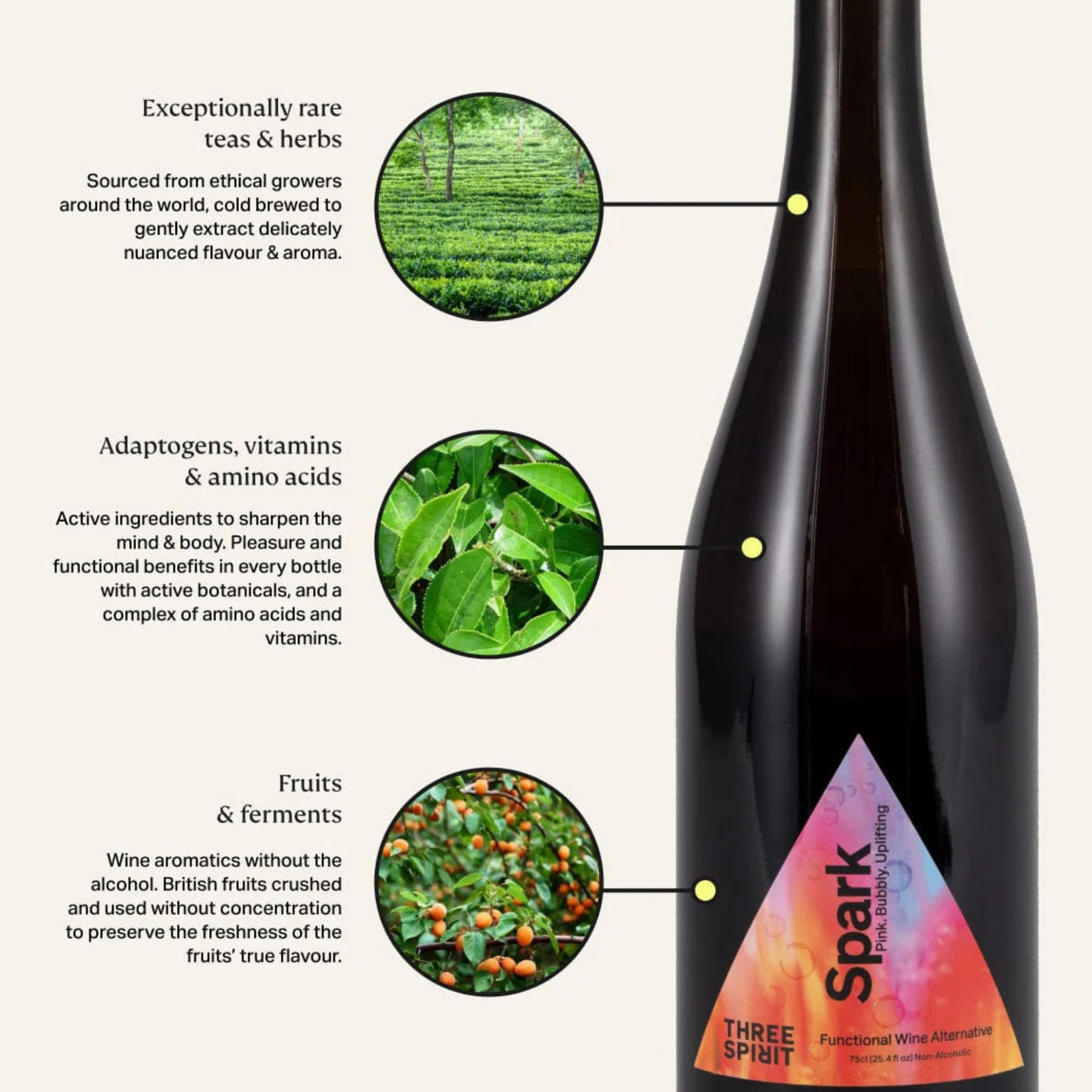 Three Spirit - Blurred Vines - Spark - Nonalcoholic Functional Wine Alternative